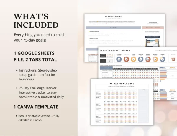 75 Day Challenge Tracker Google Sheets Fitness - Image 11