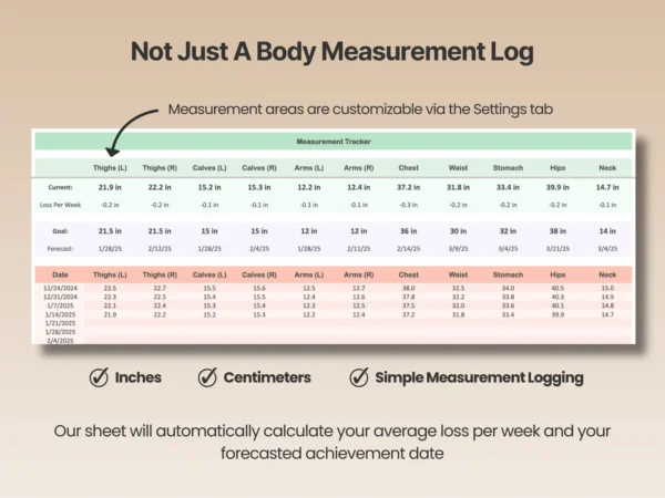 Weight Loss Tracker Google Sheets - Image 3